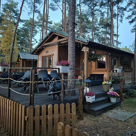 Dzik W Zagrodzie Hotel Borsk Luaran gambar