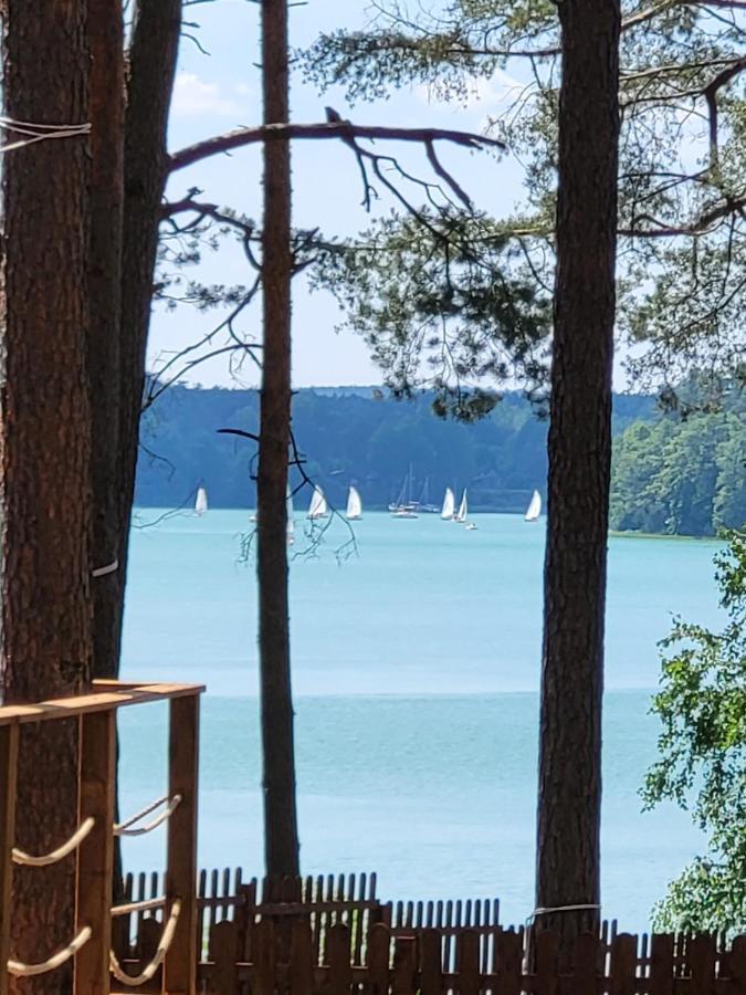 Dzik W Zagrodzie Hotel Borsk Luaran gambar