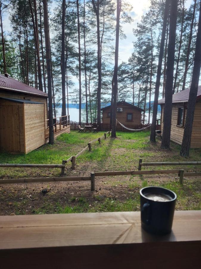 Dzik W Zagrodzie Hotel Borsk Luaran gambar