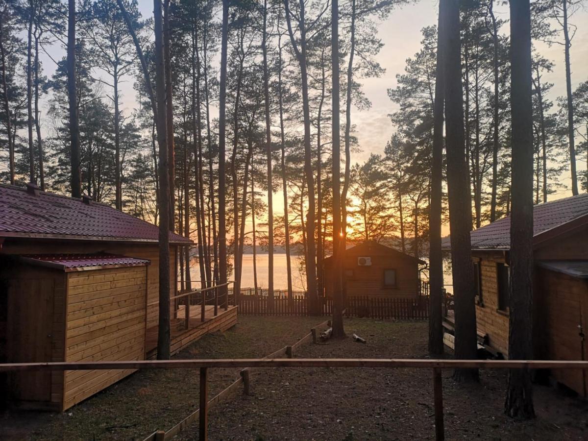 Dzik W Zagrodzie Hotel Borsk Luaran gambar