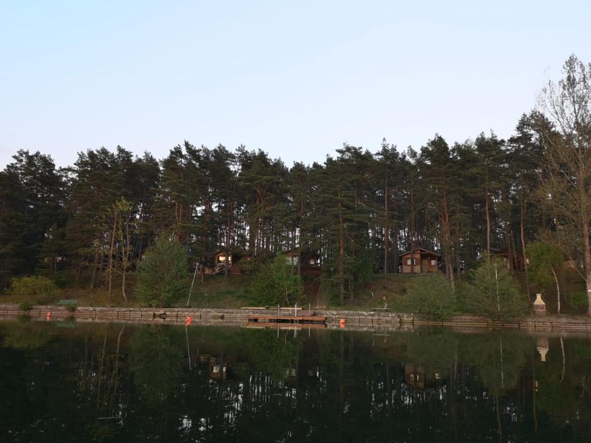 Dzik W Zagrodzie Hotel Borsk Luaran gambar