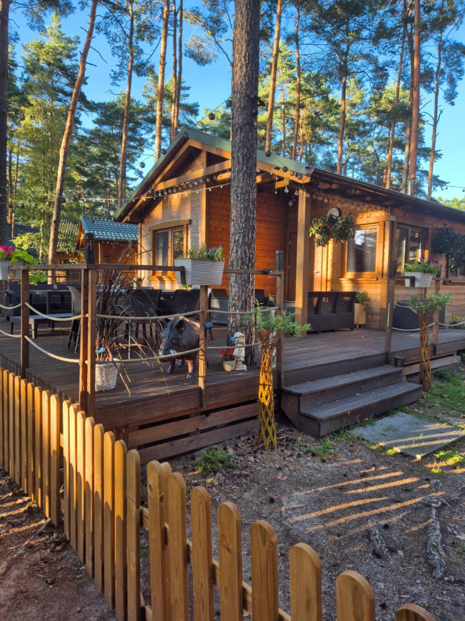 Dzik W Zagrodzie Hotel Borsk Luaran gambar
