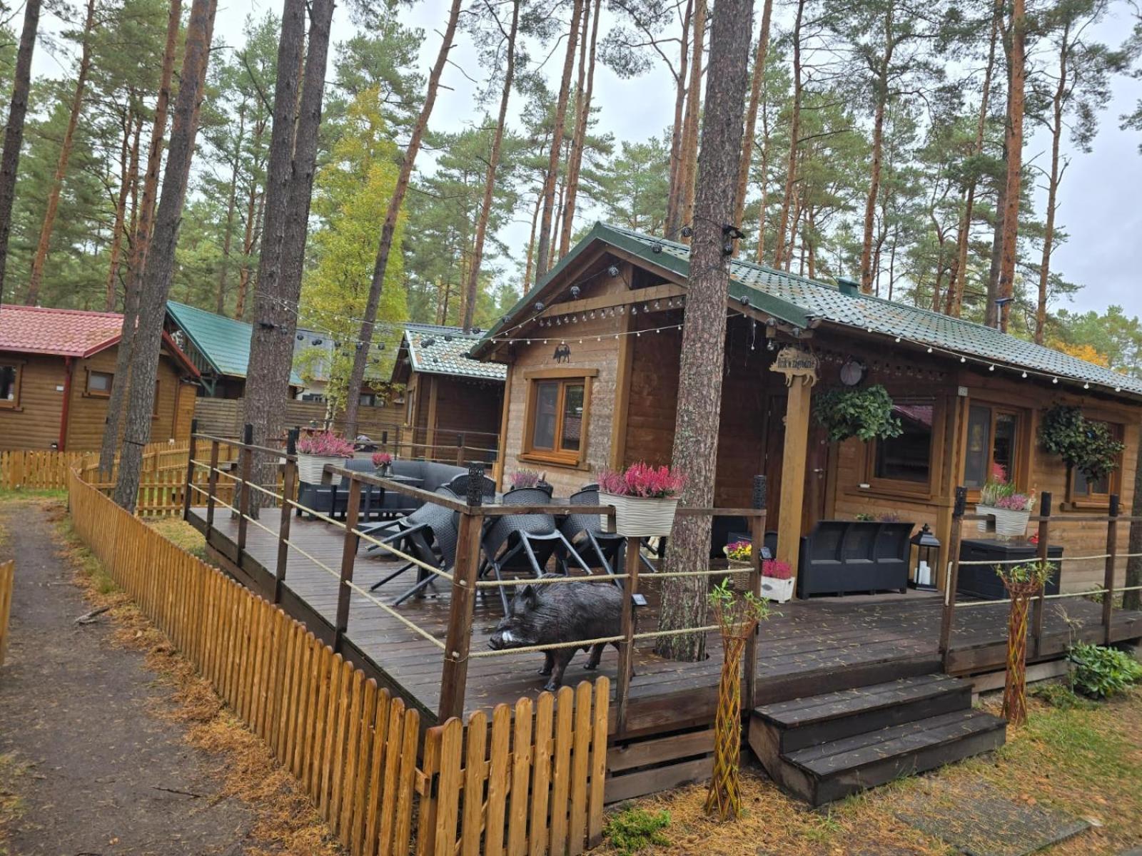 Dzik W Zagrodzie Hotel Borsk Luaran gambar