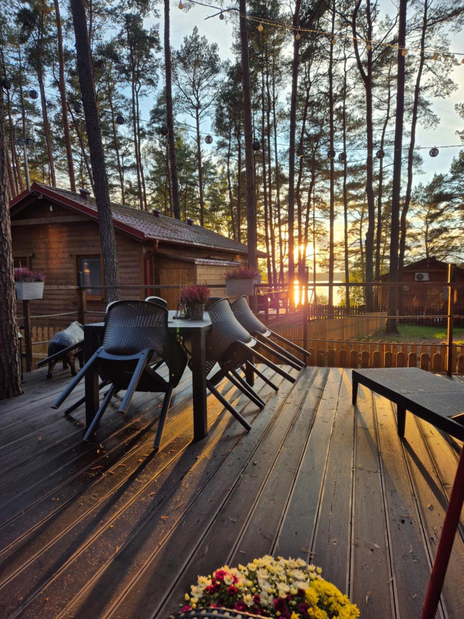 Dzik W Zagrodzie Hotel Borsk Luaran gambar