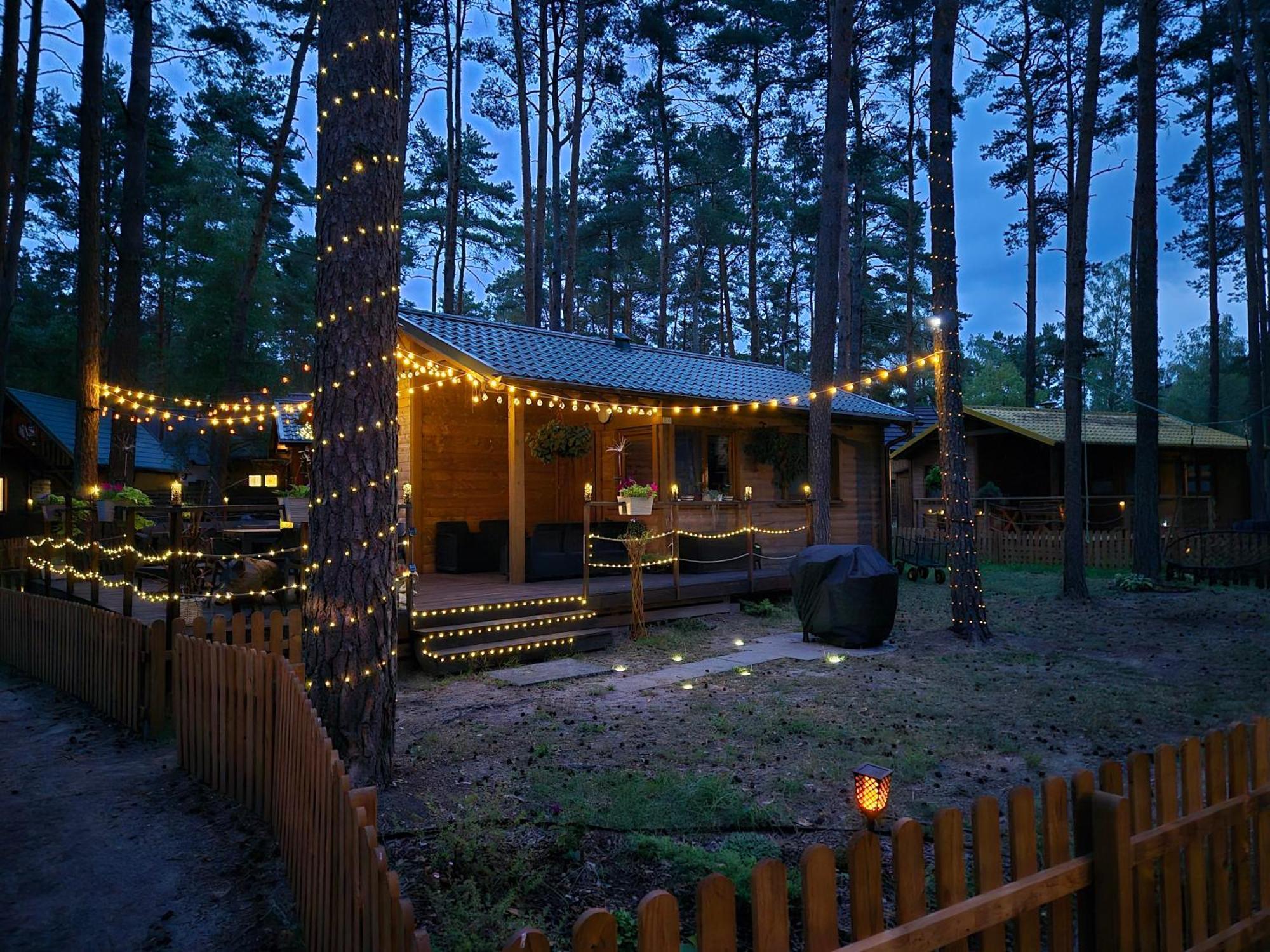 Dzik W Zagrodzie Hotel Borsk Luaran gambar
