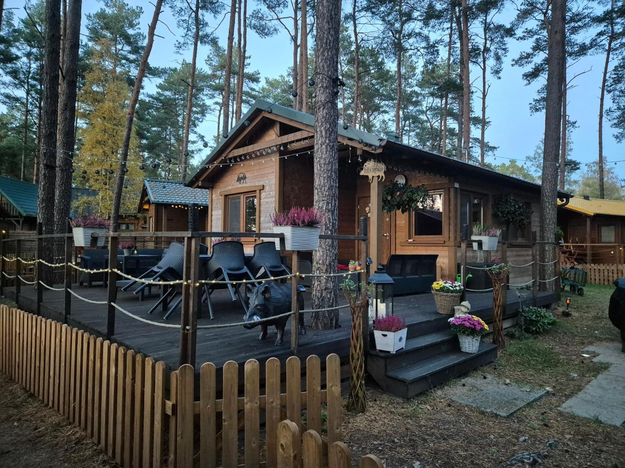 Dzik W Zagrodzie Hotel Borsk Luaran gambar